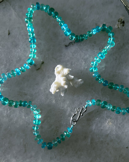 Water Nymph Necklace ⋄ Shaded Seafoam Apatite