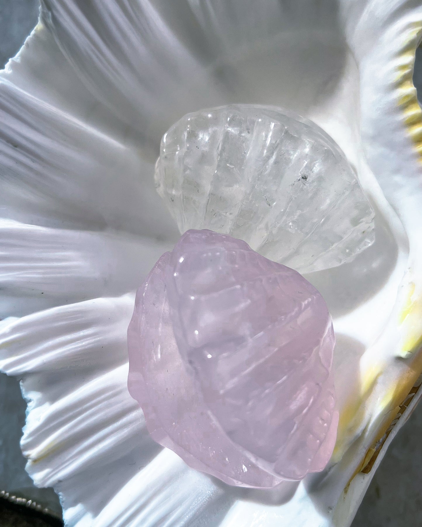 Crystal Seashell Ring Holder ⋄ Rose Quartz ⋄ Fluorite ⋄ Clear Quartz