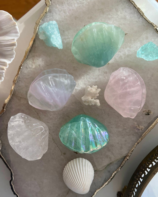Crystal Seashell Ring Holder ⋄ Rose Quartz ⋄ Fluorite ⋄ Clear Quartz