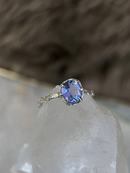 Daughter of the Sea Ring ⋄ Tanzanite ⋄ size 6