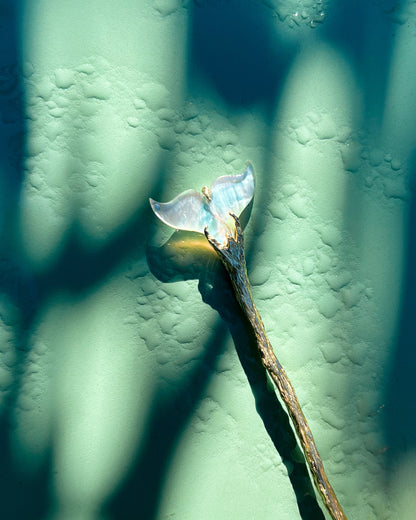 La Sirène Hair Pin ⋄ Mother of Pearl