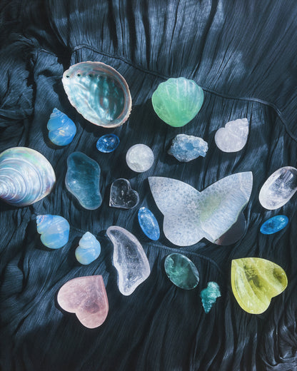⋆˙⟡ Crystals & Shells 𖢻