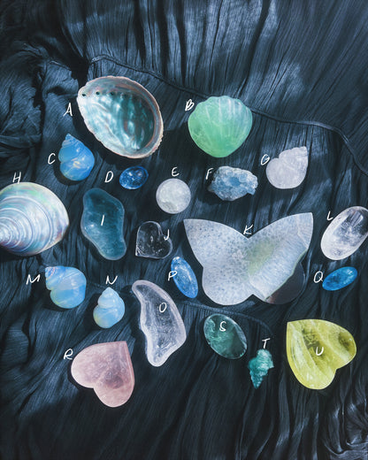 ⋆˙⟡ Crystals & Shells 𖢻
