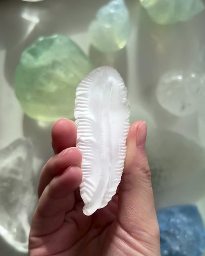 ⋆˙⟡ Crystals 𖢻