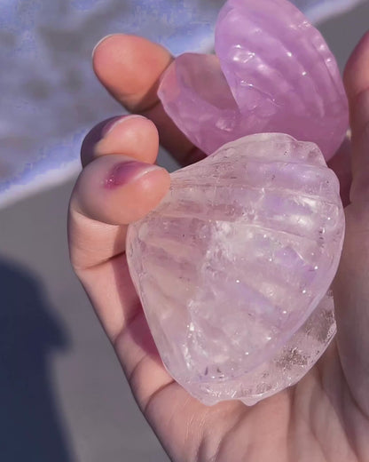 Crystal Seashell Ring Holder ⋄ Rose Quartz ⋄ Fluorite ⋄ Clear Quartz