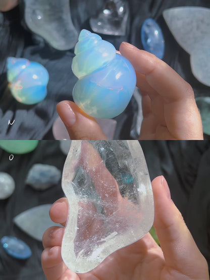 ⋆˙⟡ Crystals & Shells 𖢻