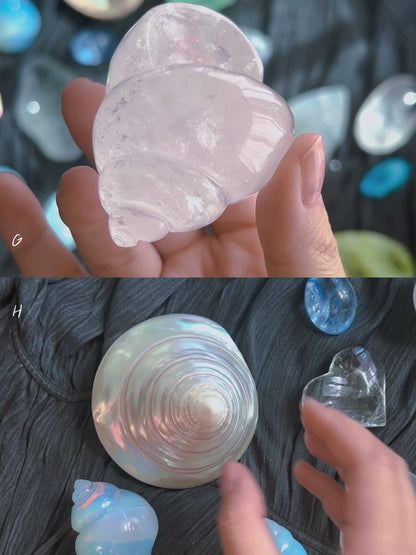 ⋆˙⟡ Crystals & Shells 𖢻
