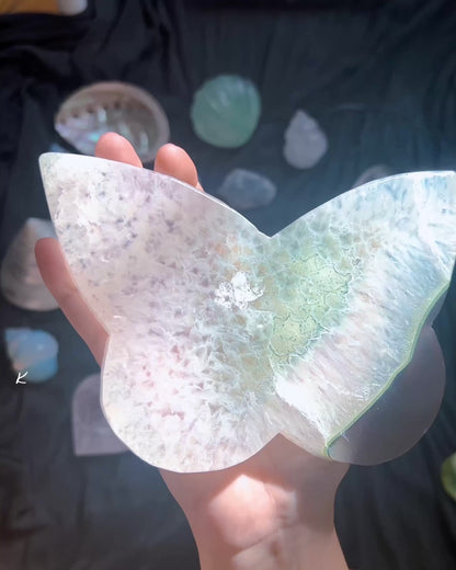 ⋆˙⟡ Crystals & Shells 𖢻