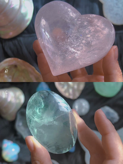 ⋆˙⟡ Crystals & Shells 𖢻