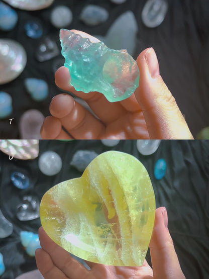 ⋆˙⟡ Crystals & Shells 𖢻
