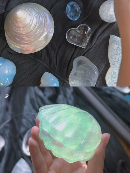 ⋆˙⟡ Crystals & Shells 𖢻